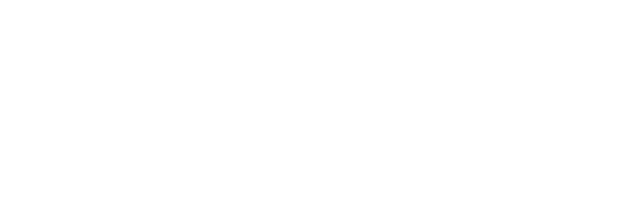 BAZIYA logo